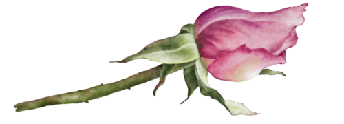 Projekt bez nazwy (8)