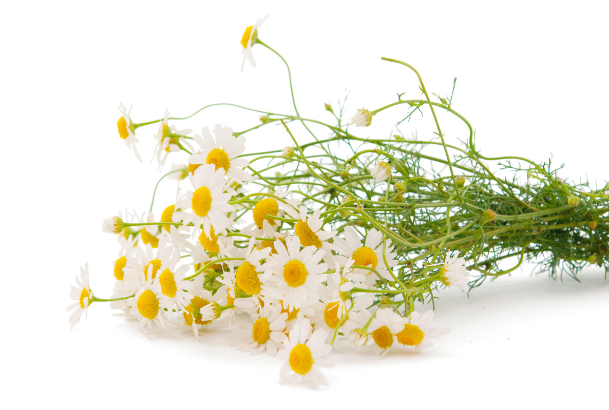 Ukoyki - elementy - 24