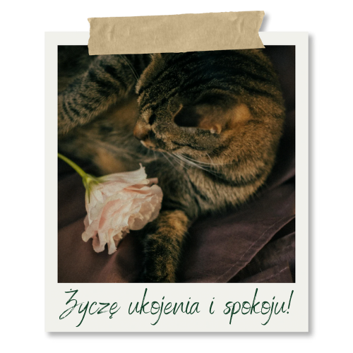 Życzę ukojenia i spokoju! (1)